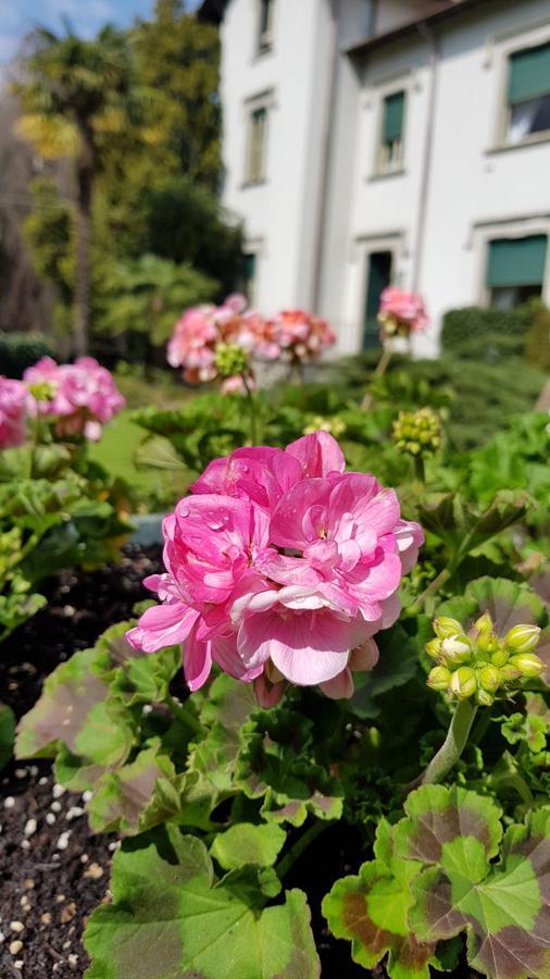 Villa Del Cigno Lecco Eksteriør bilde